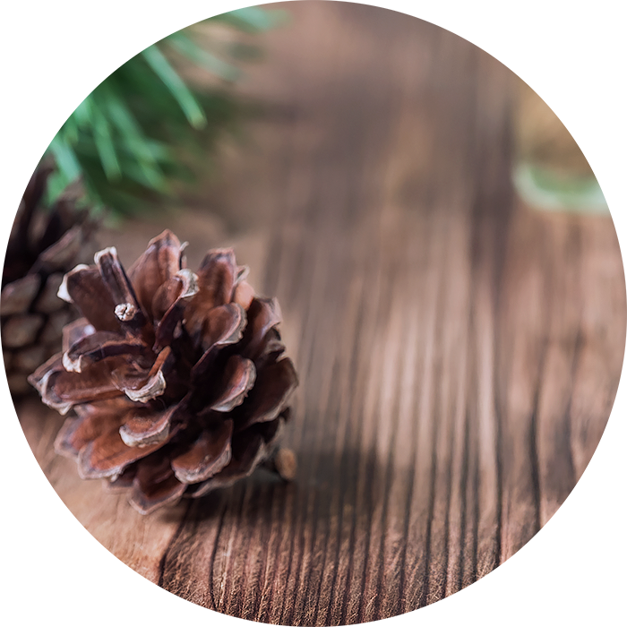 turpentine oil2